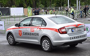 Trupele De Carabinieri