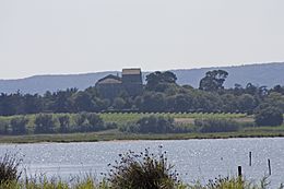 Catedral de Maguelone.jpg