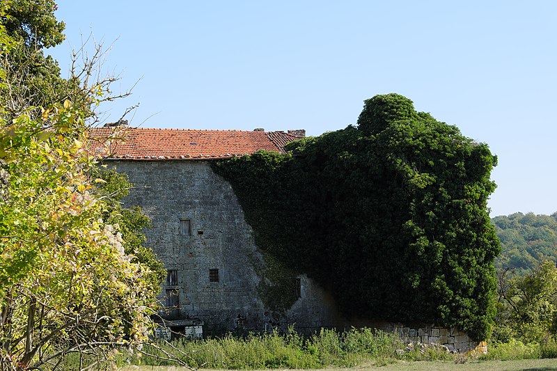 File:Château de Pierrefort 09.jpg