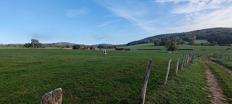 File:Chemin à Bourbonne-les-Bains.jpg