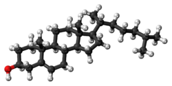 Cholesterolum