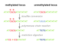 Thumbnail for Combined bisulfite restriction analysis