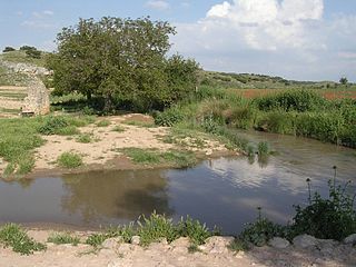 <span class="mw-page-title-main">Córcoles</span> River