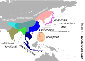 Ареал распространения