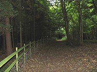 Cotswold Way in Dowdeswell Woods