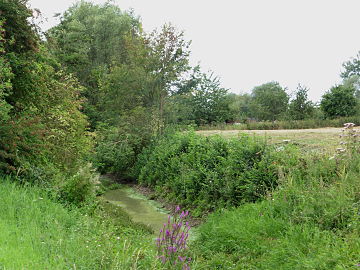 Le courant de Coutiches à Bouvignies_(Nord).