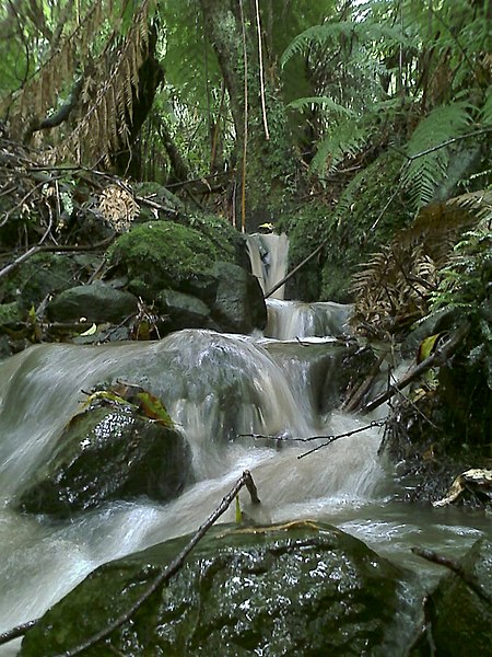 File:Creek after rain 3 - panoramio.jpg