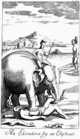 Avrättning med elefant