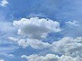 Cumulus humilis clouds below cirrus clouds