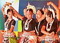 Dance performance Gopalpur on the sea 4