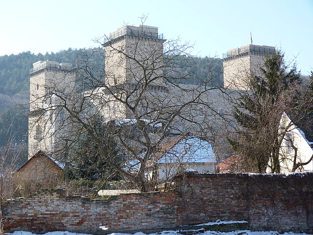 Image: Diósgyőr   2015.02.07 (9)