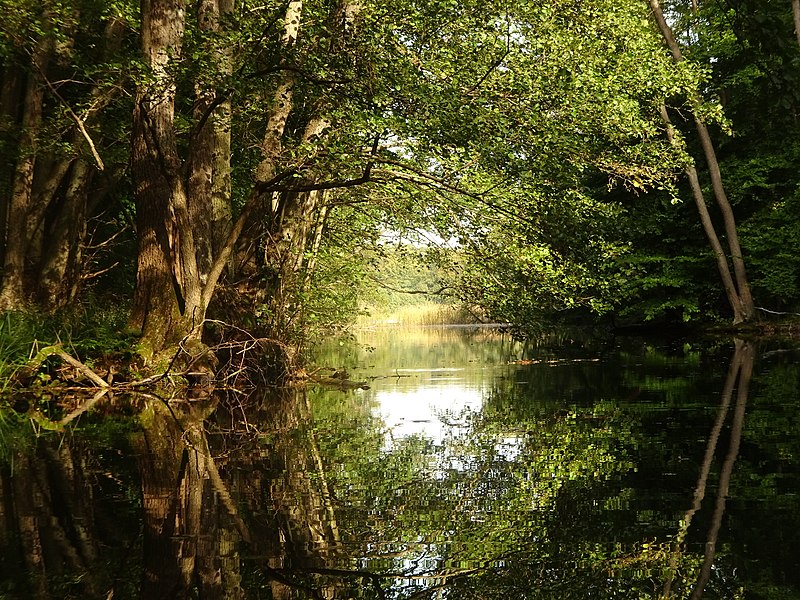 File:Die Havel an der Einfahrt zum Zierzsee.jpg