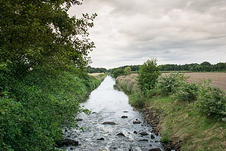 Die Lethe bei Tungeln