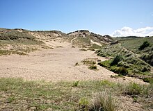 Sand dunes in Holywell, England Dunes at Holywell.jpg