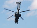 Miniatuur voor Bestand:EC 725 - CARACAL photo-2.JPG