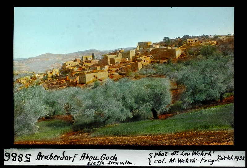 File:ETH-BIB-Araberdorf Abou Goch (Jaffa - Jerusalem)-Dia 247-05886.tif