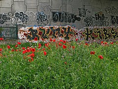 El graffiti y las amapolas (22913640669).jpg