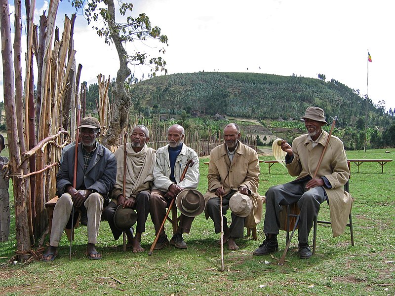 File:Elders at health worker training (5762508115).jpg