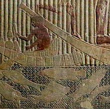 Electric catfish (centre) in Mastaba of Ti bas-relief, Saqqara, ancient Egypt Electric catfish in Mastaba of Ti bas-relief detail.jpg