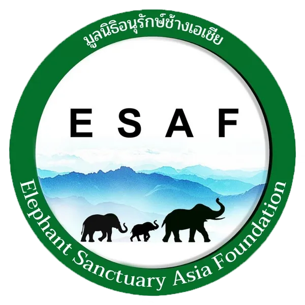 ไฟล์:Elephant sanctuary asia foundation.webp