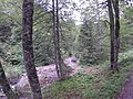 Engelsbach vor Eintritt in die Klamm