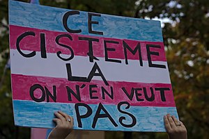 Pancarte en carton où est écrit "ce cistème là on en veut pas" sur un drapeau trans dessiné