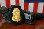 Thumbnail for File:FBI Badge &amp; gun.jpg