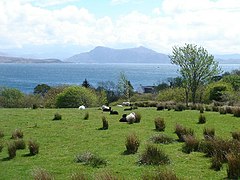 Ferindonald, Skye - geograph.org.uk - 177065.jpg