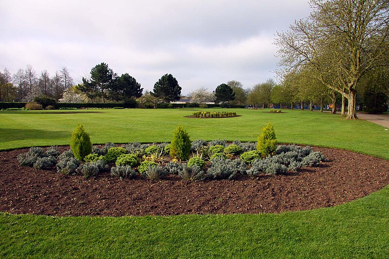 File:Flowerbed in Cutteslowe Park - geograph.org.uk - 2356464.jpg