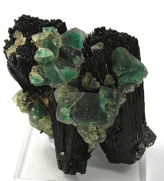 File:Fluorite-Schorl-Quartz-201026.jpg