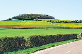 Zdjęcie poglądowe artykułu Mont Rond (Côte-d'Or)