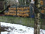 Randonnée En-Bas-Flandre à Fournes-en-Weppes, France