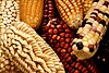 Maize features in pre-Columbian Argentine cuisine