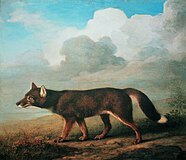 ジョージ・スタッブス作、『大きな犬のポートレート（A portrait of a large Dog）』（ディンゴ）(1772) 国立海事博物館