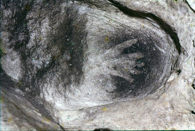 File:Grotte d'Aurignac-Main en réserve-1962.jpg