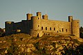 Harlech Castle at sundown - geograph.org.uk - 672294.jpg