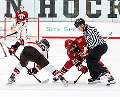 Harvard Crimson face-off against Brown Bears mens ice hockey.jpg