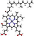 Heme A ball-and-stick