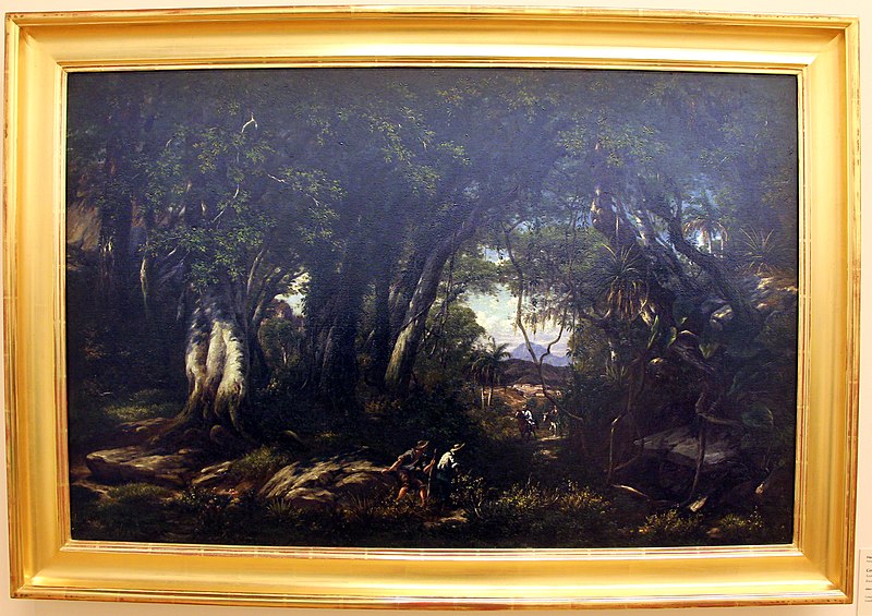 File:Henri nicolas vinet, scena nella foresta di tijuca, 1875.JPG