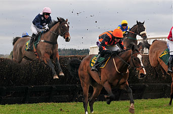 Překážky V Jezdeckém Sportu: Parkur, Steeplechase, Cross-Country