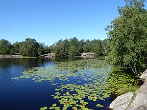 Horsikans nordände den 11 augusti 2022.