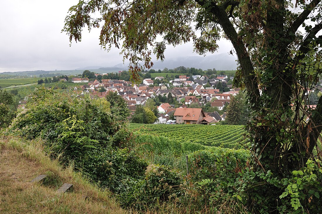 Ilbesheim bei Landau in der Pfalz