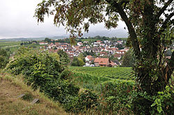 Skyline of Ilbesheim bei Landau in der Pfalz