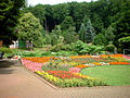 Miniatura para Jardín botánico de Bielefeld