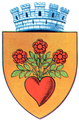 Mercurea Ciuc