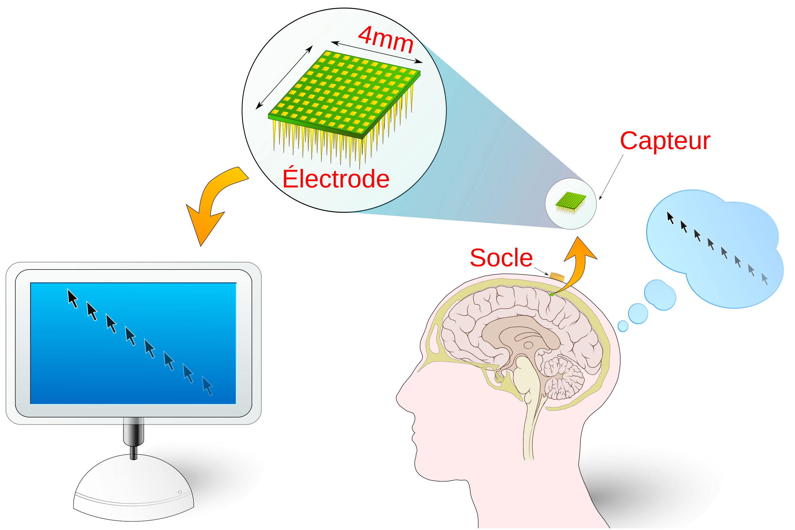 [[Interface neuronale directe (BCI)](https://fr.wikipedia.org/wiki/Interface_neuronale_directe)]