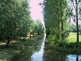 Issumer Fleuth at the confluence with the Nenneper Fleuth