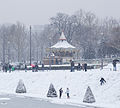 Vignette pour la version du 21 janvier 2013 à 16:24