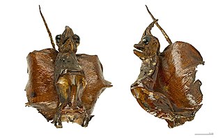 320px-Jenny_Haniver_MHNT.jpg