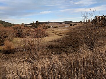 Jingera, New South Wales.jpg